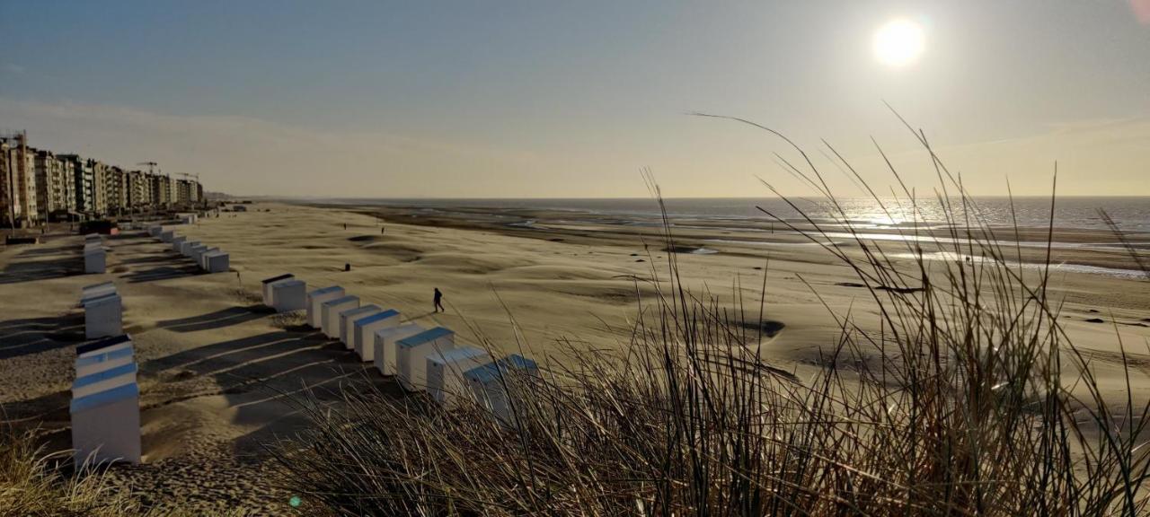 Le Zandkreek Plage & Centre - 2 Ch Koksijde Esterno foto